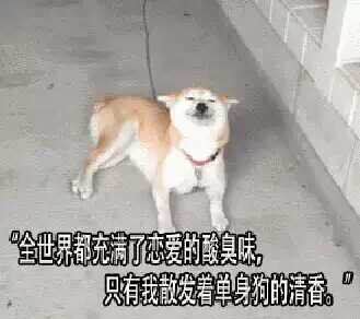 官宣！聽(tīng)說(shuō)德利豐大巖板戀愛(ài)了？(圖3)