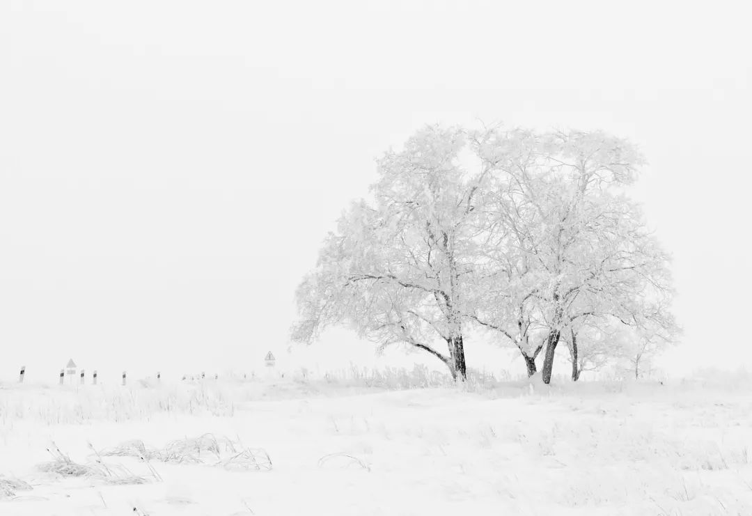 傲雪寒梅為君開,東方藝術的魅力,或許就在于(圖4) 傲雪寒梅為君開,東方藝術的魅力,或許就在于(圖4)